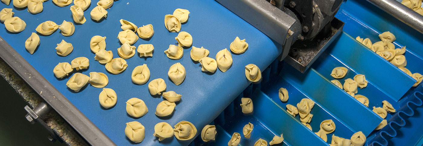 Industrial Conveyor Belting Food Processing